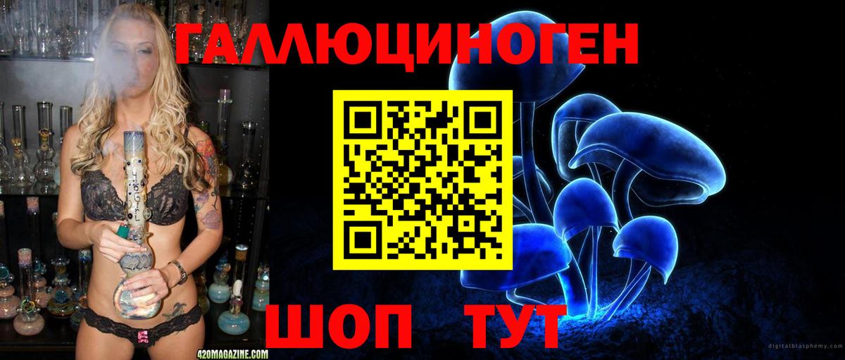 Псилоцибиновые грибы ЛСД  Вход с VPN  Майкоп  Псилоцибиновые грибы GOLDEN TEACHER 