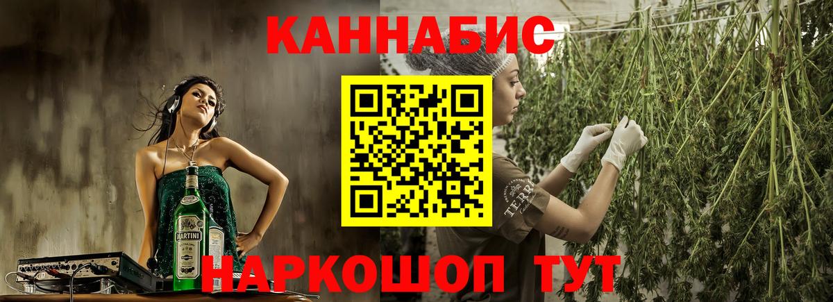 Шишки марихуана марихуана Майкоп